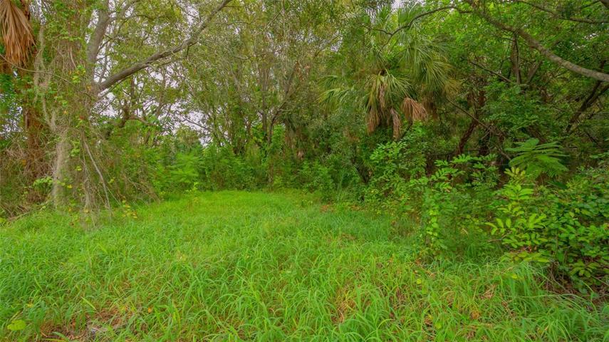 Lot #3 vacant
