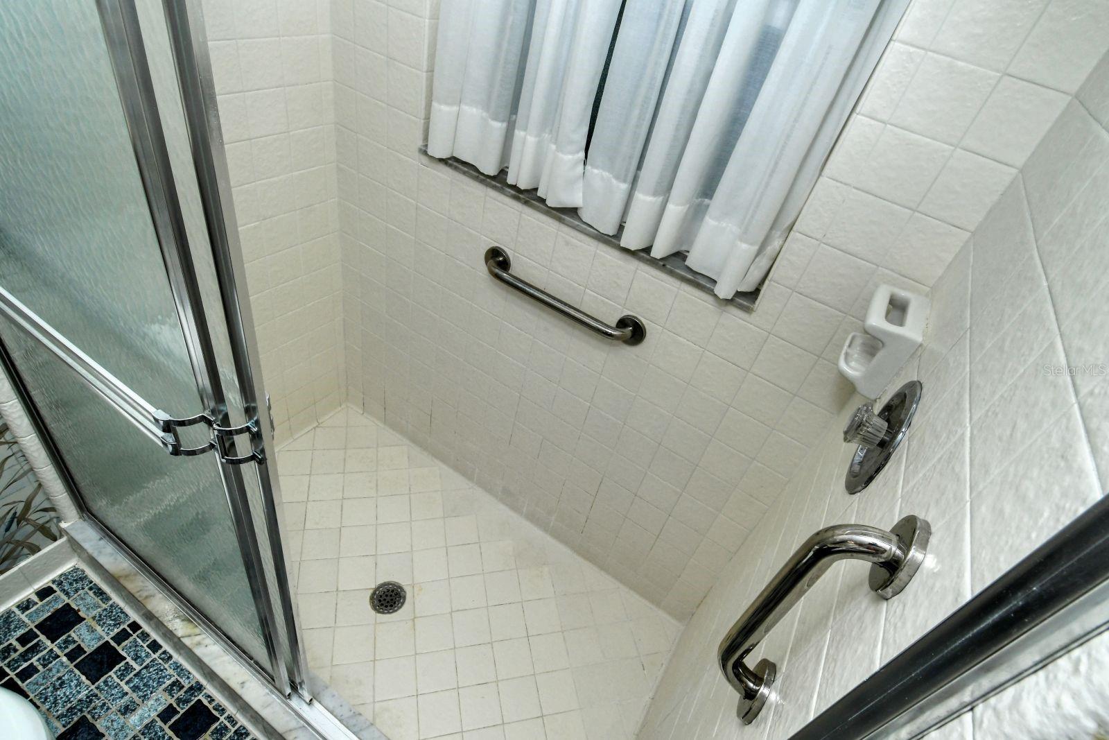 Master Bath Shower