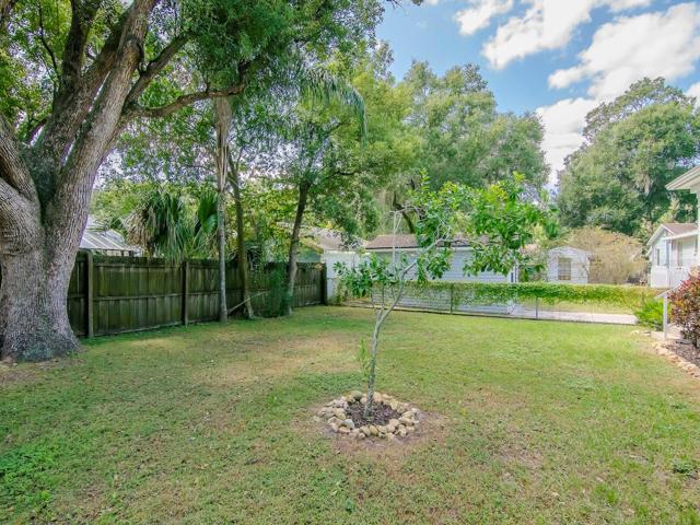 Back Yard