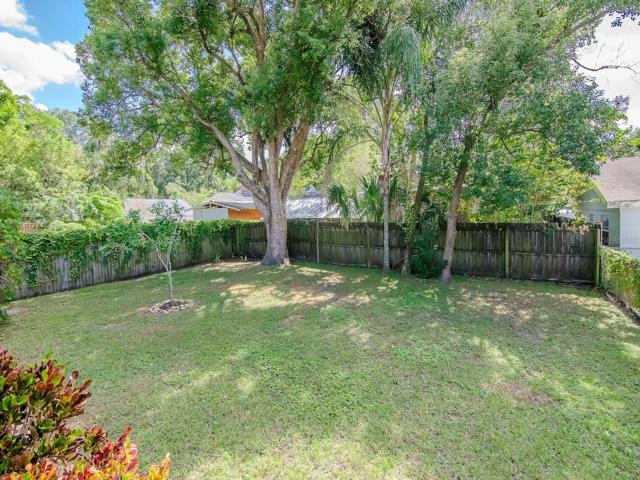 Back Yard