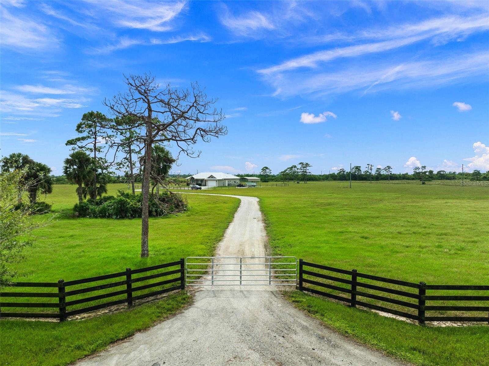 Driveway