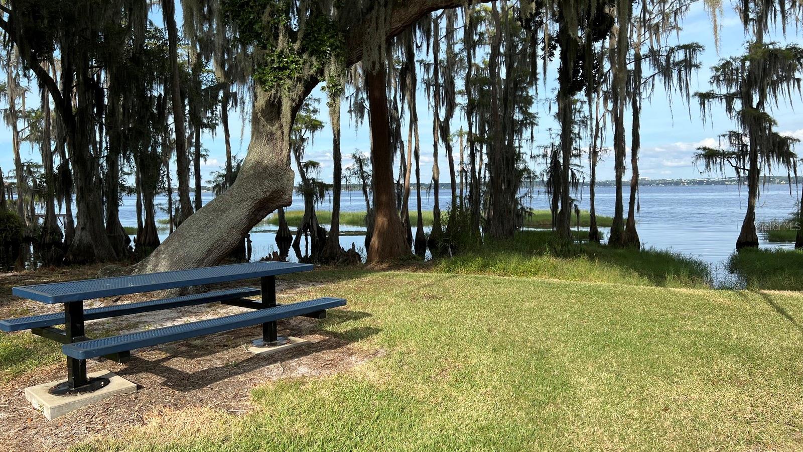 Community Area