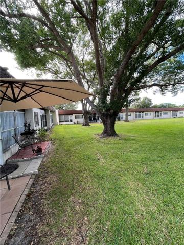BACK PATIO VIEW