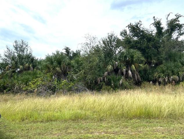 9379 Snapper Circle