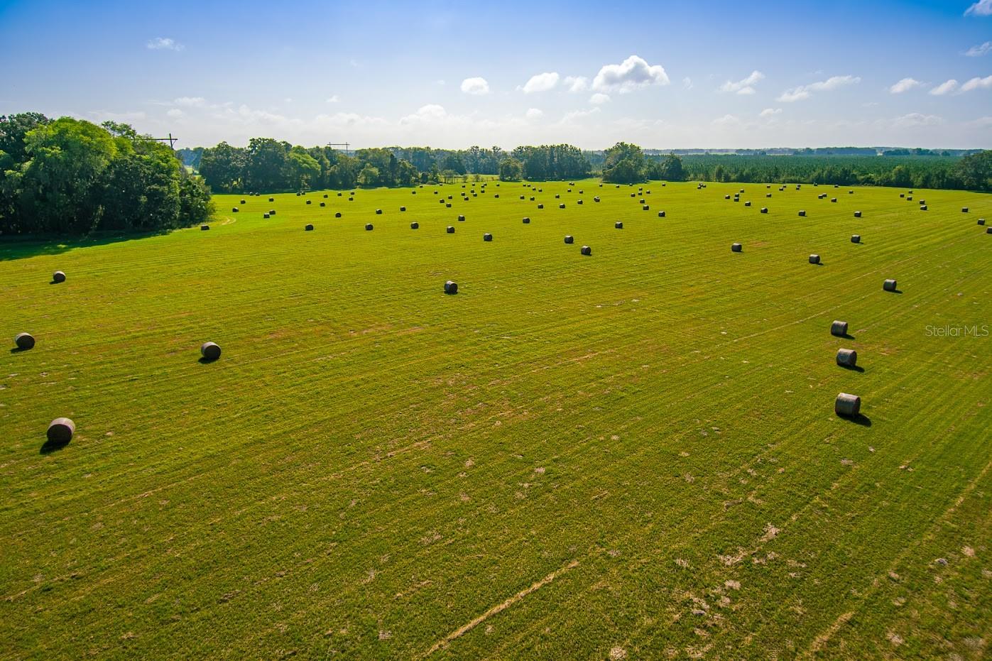 Hay Fields