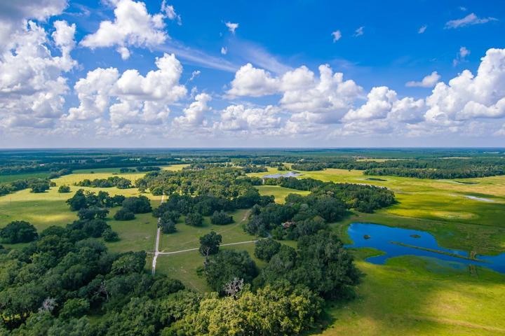 4 Springfed Ponds