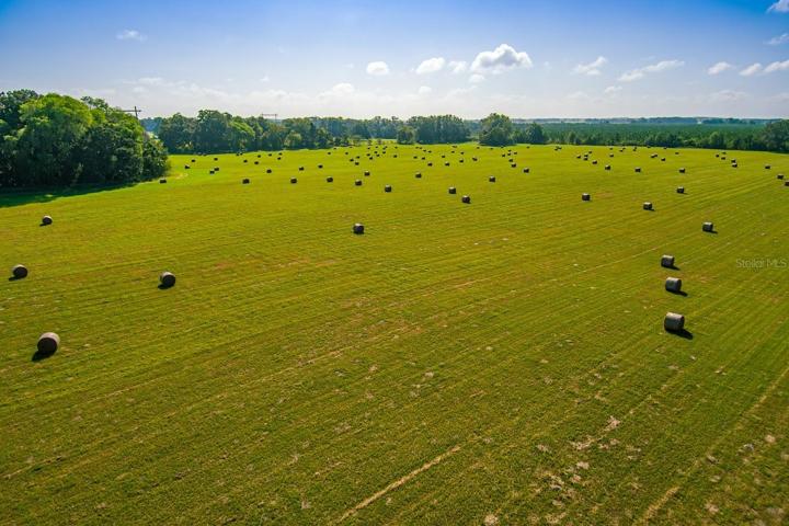 Hay Fields