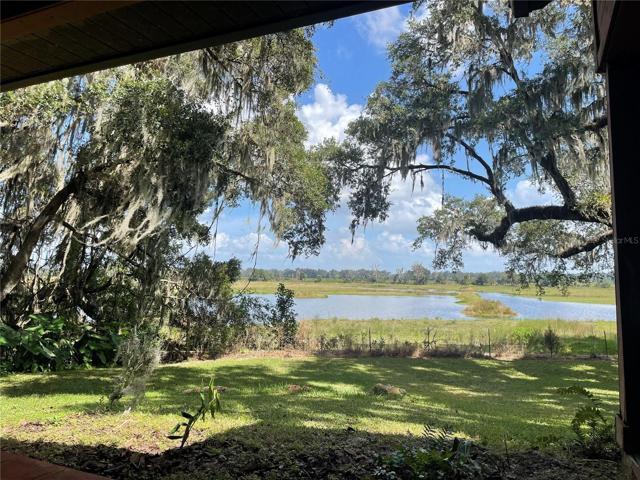 View from Guest House back porch