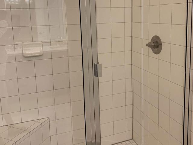 Master Shower