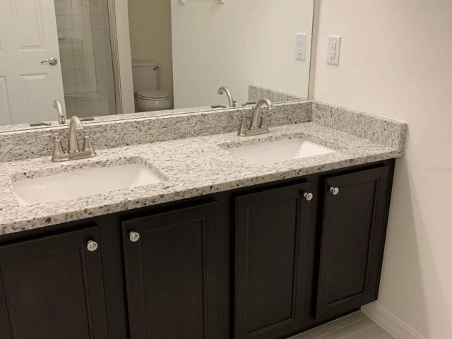 Master Bath Vanity