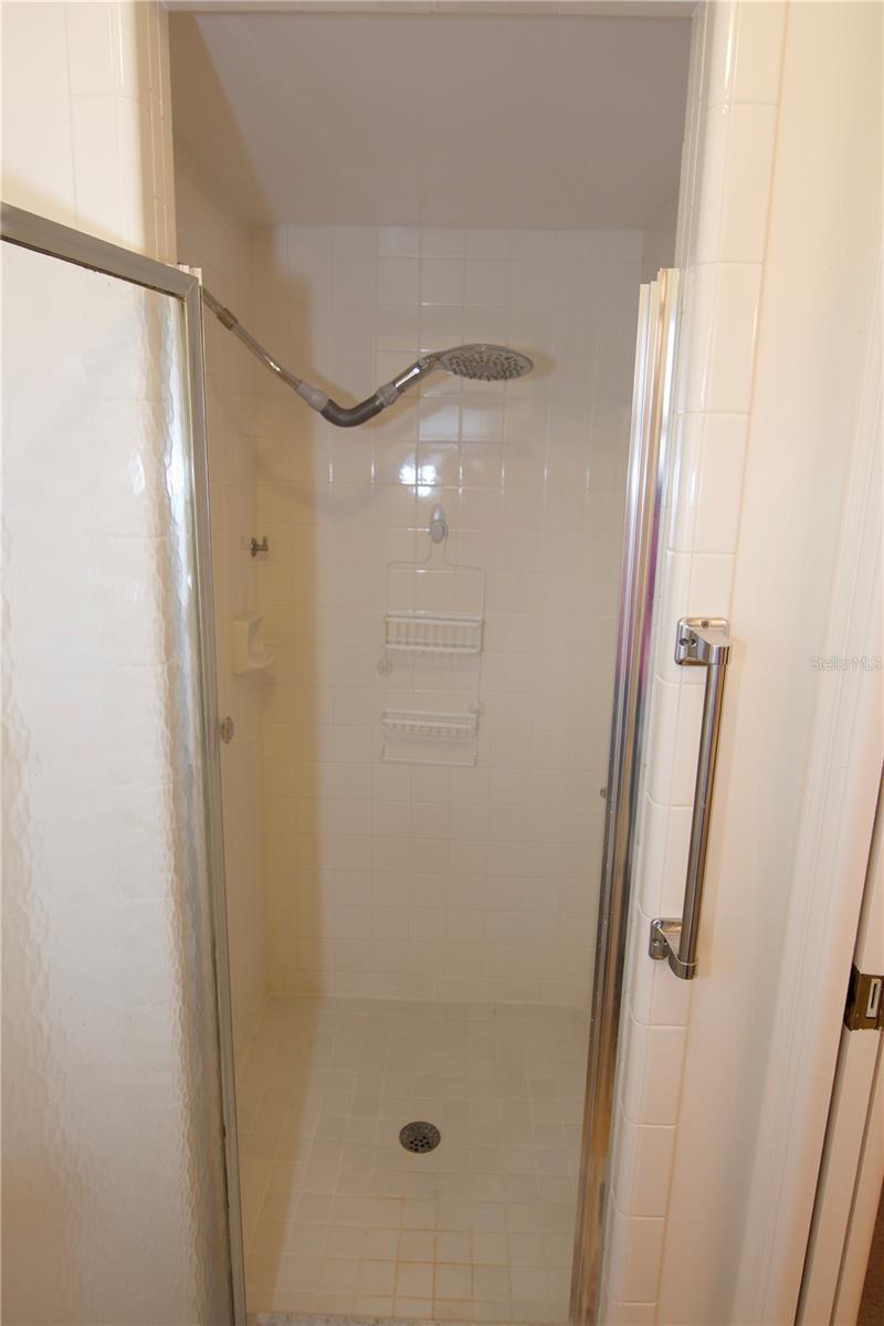 Master Bathroom Shower