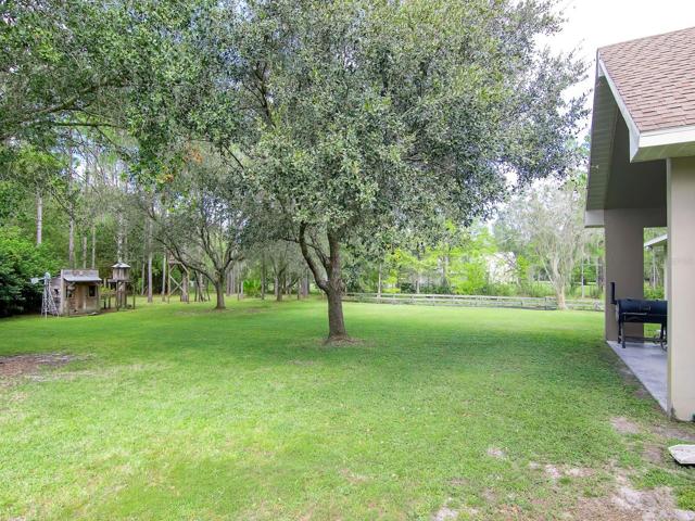 Back yard view