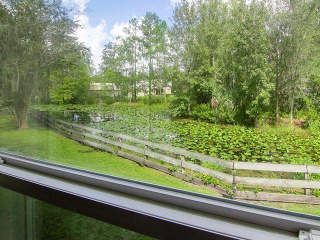 View out the Guest House window