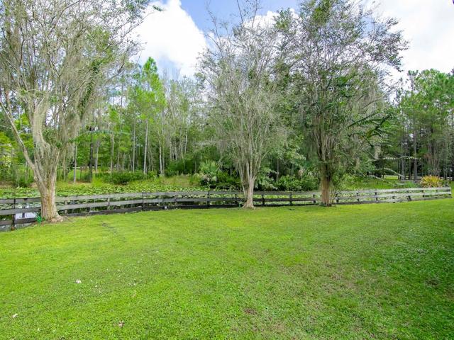 View of pond from backyard
