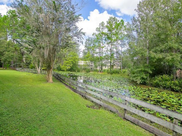 View of pond from ADU/Cottage