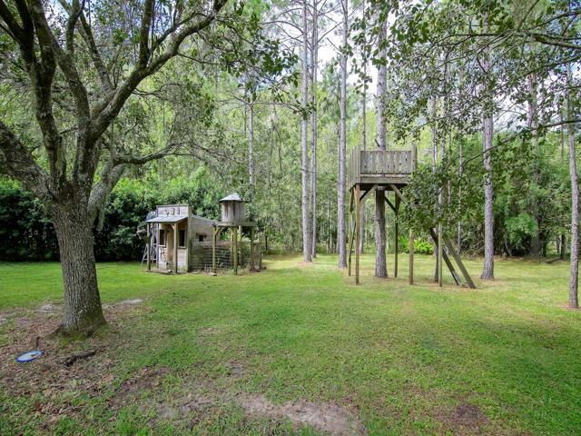 Chicken coop in back yard