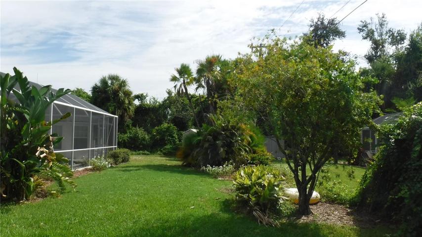 Backyard looking east