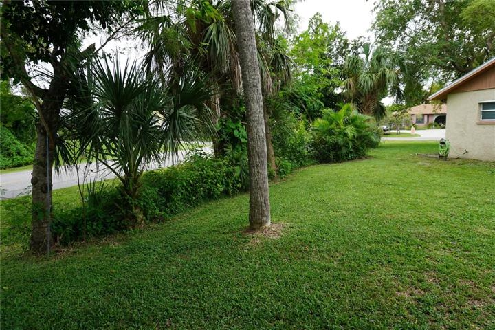 Side yard
