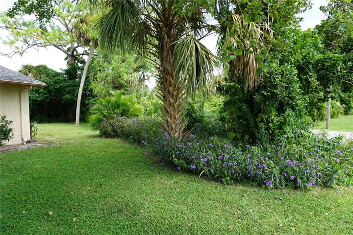 Side yard view