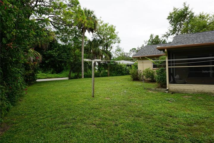 Back yard