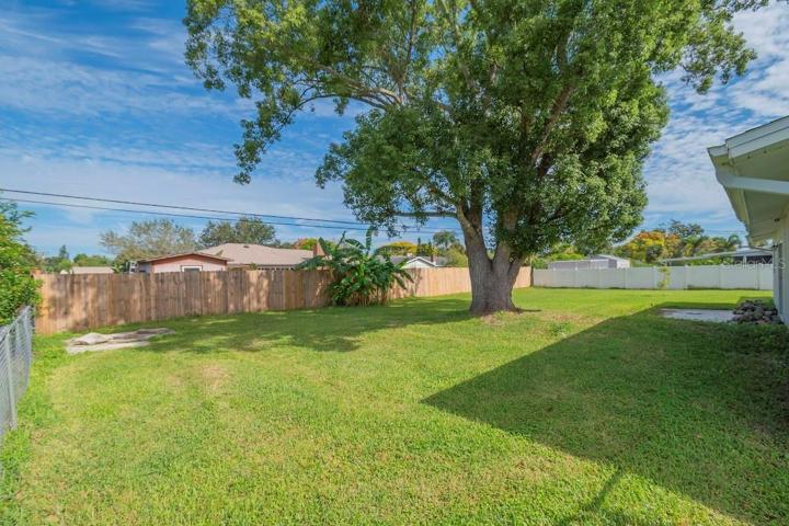 back yard