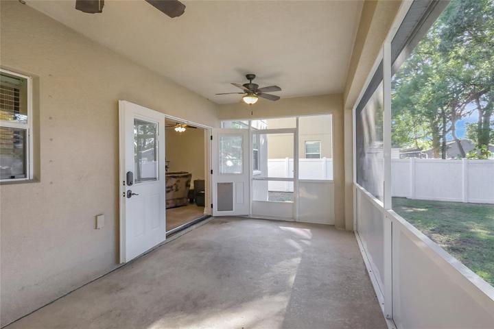 Screened patio back yard