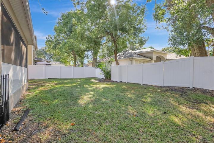 Fenced back yard