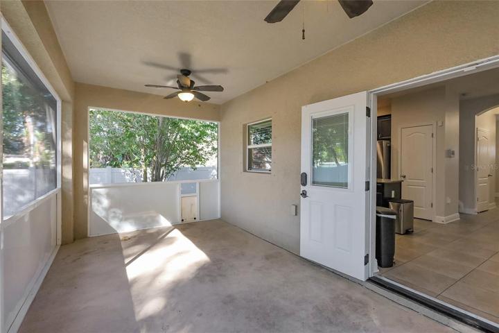 Screened patio back yard