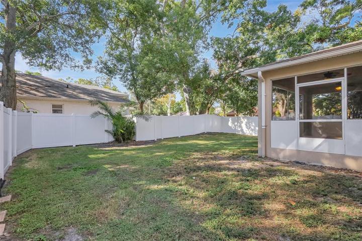 Fenced back yard