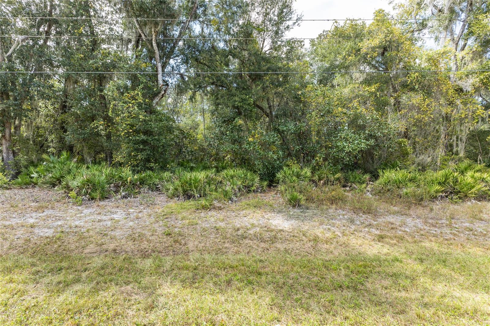 More of Front of Property on Road