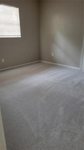 brand new carpeting