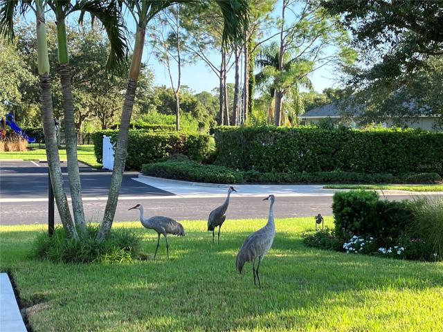 Some of the friendly neighbors at University Place.