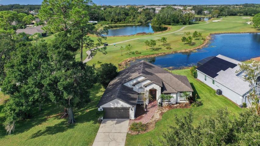 Drone View of House