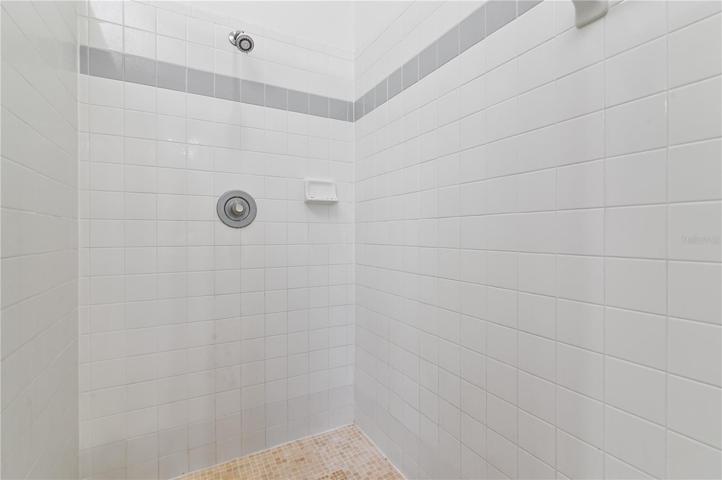 Master Bathroom Shower