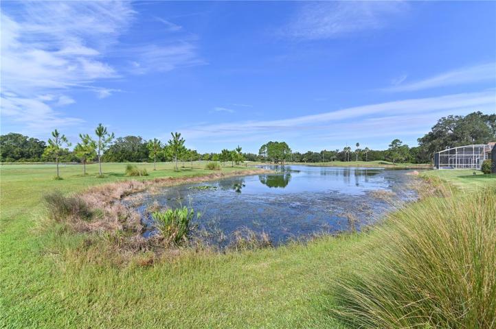 Backyard Toughing Pond