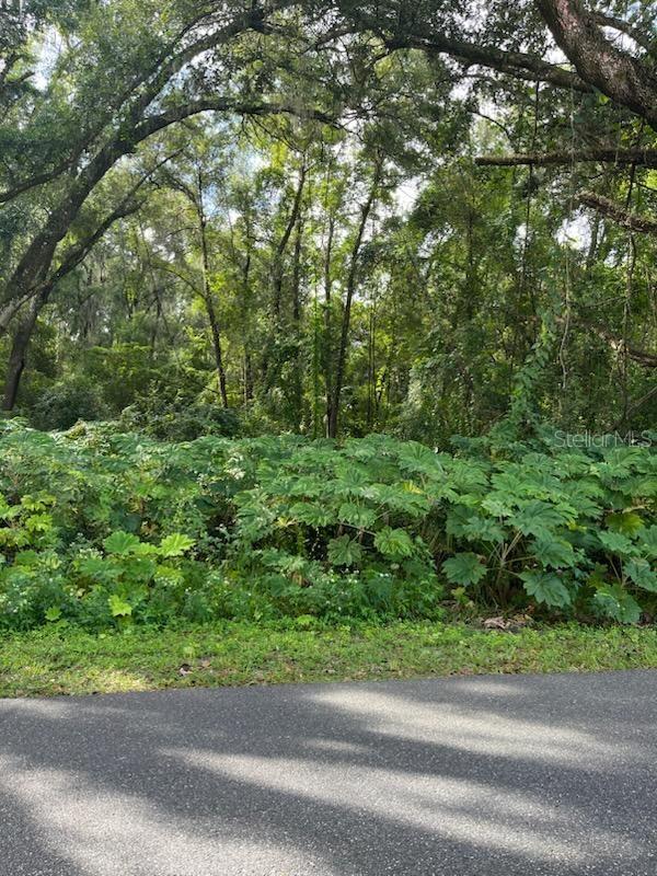 Webster, Florida 33597, 0 , 0 ,0,Land,For Sale,10TH STREET,0,G5074295