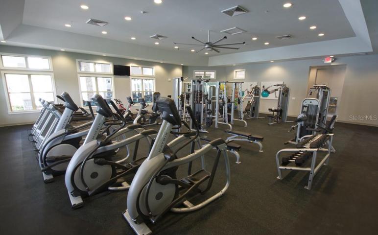 GYM