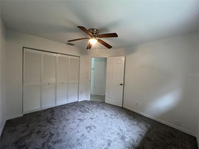 NEW CARPET