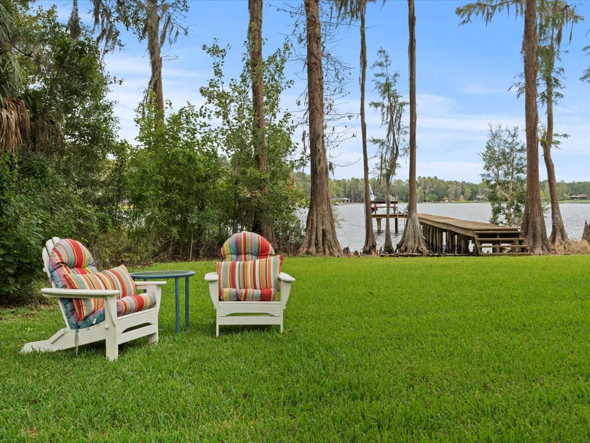 Backyard view