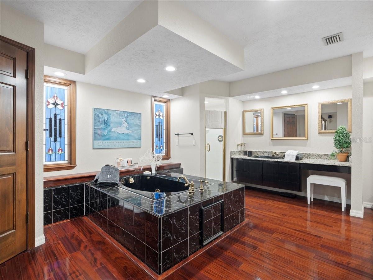 Downstairs Master Bathroom