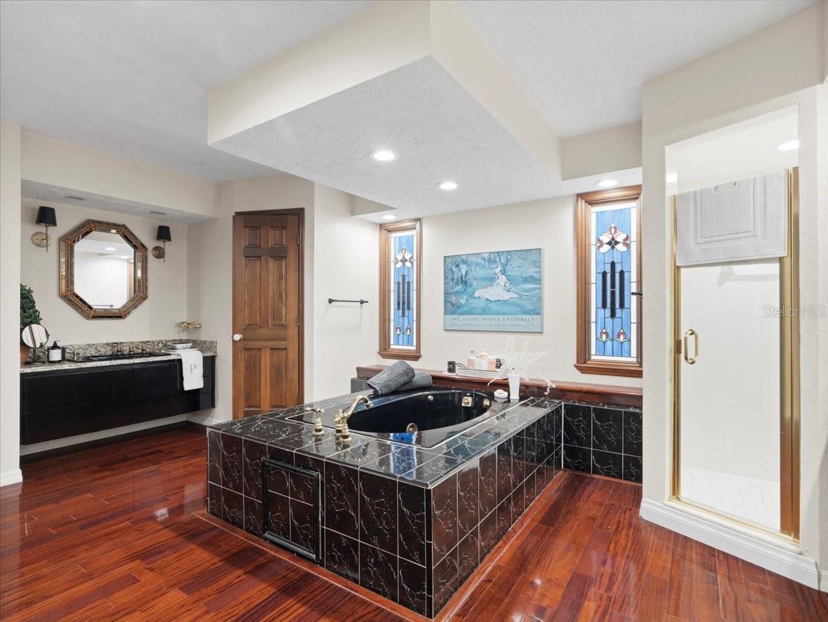 Downstairs Master Bathroom