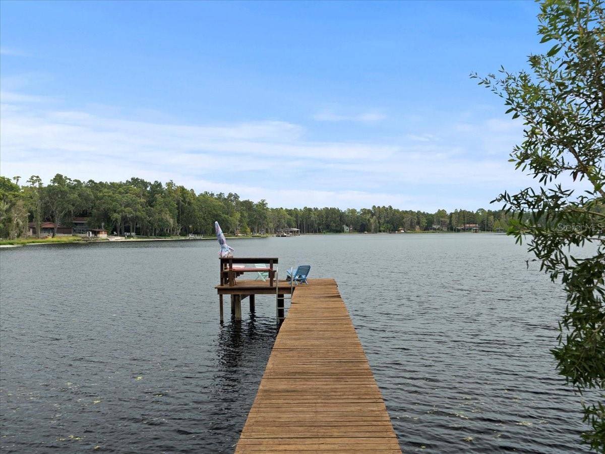 Lake Armistead view