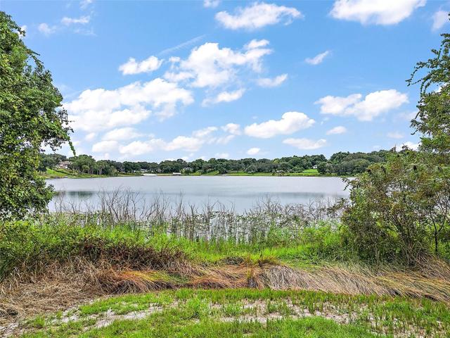 Deeded access to Lake Nettie