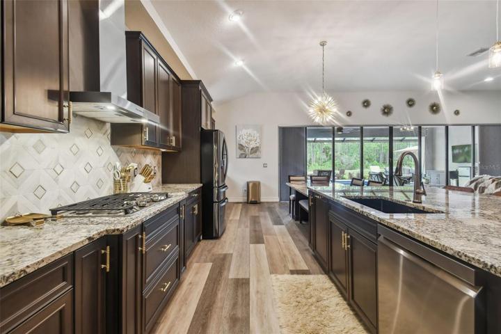 Chef's Dream Kitchen