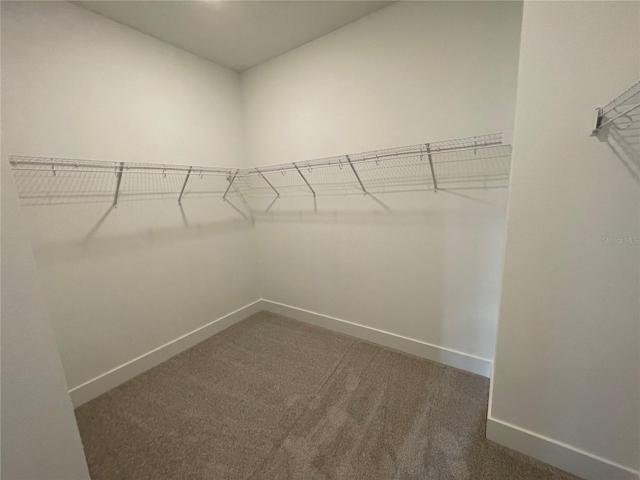 Owner’s Closet