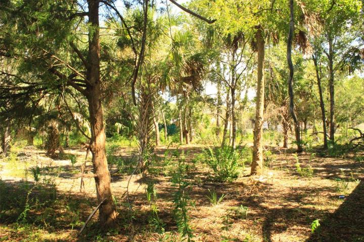 Land was recently cleared of underbrush!