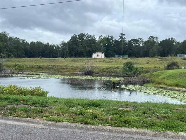 pond directly across the street