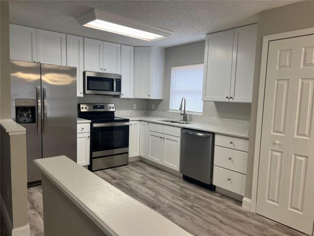 kitchen with 42 inch brand new cabinets, gorgeous quarts counter tops, stainless appliances