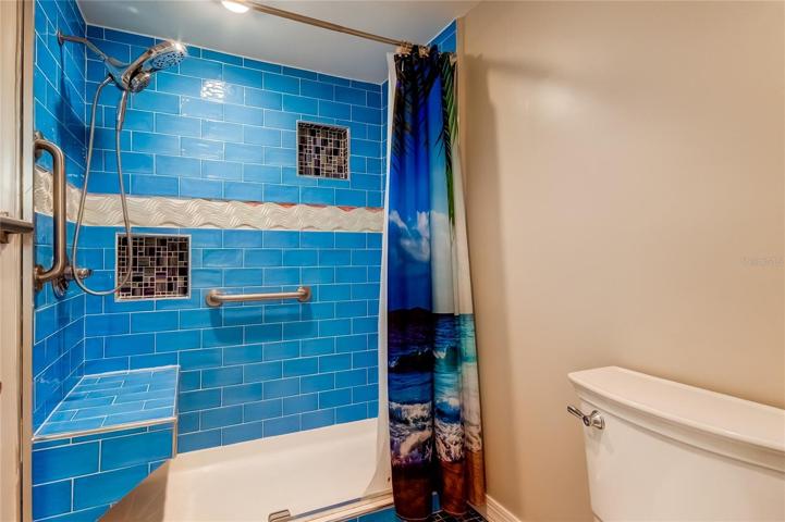 Master bath shower and toilet room