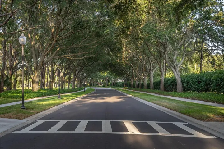 Picturesque streets with towering canopies of Oak Trees that allow shaded walks, bike rides and family strolls.